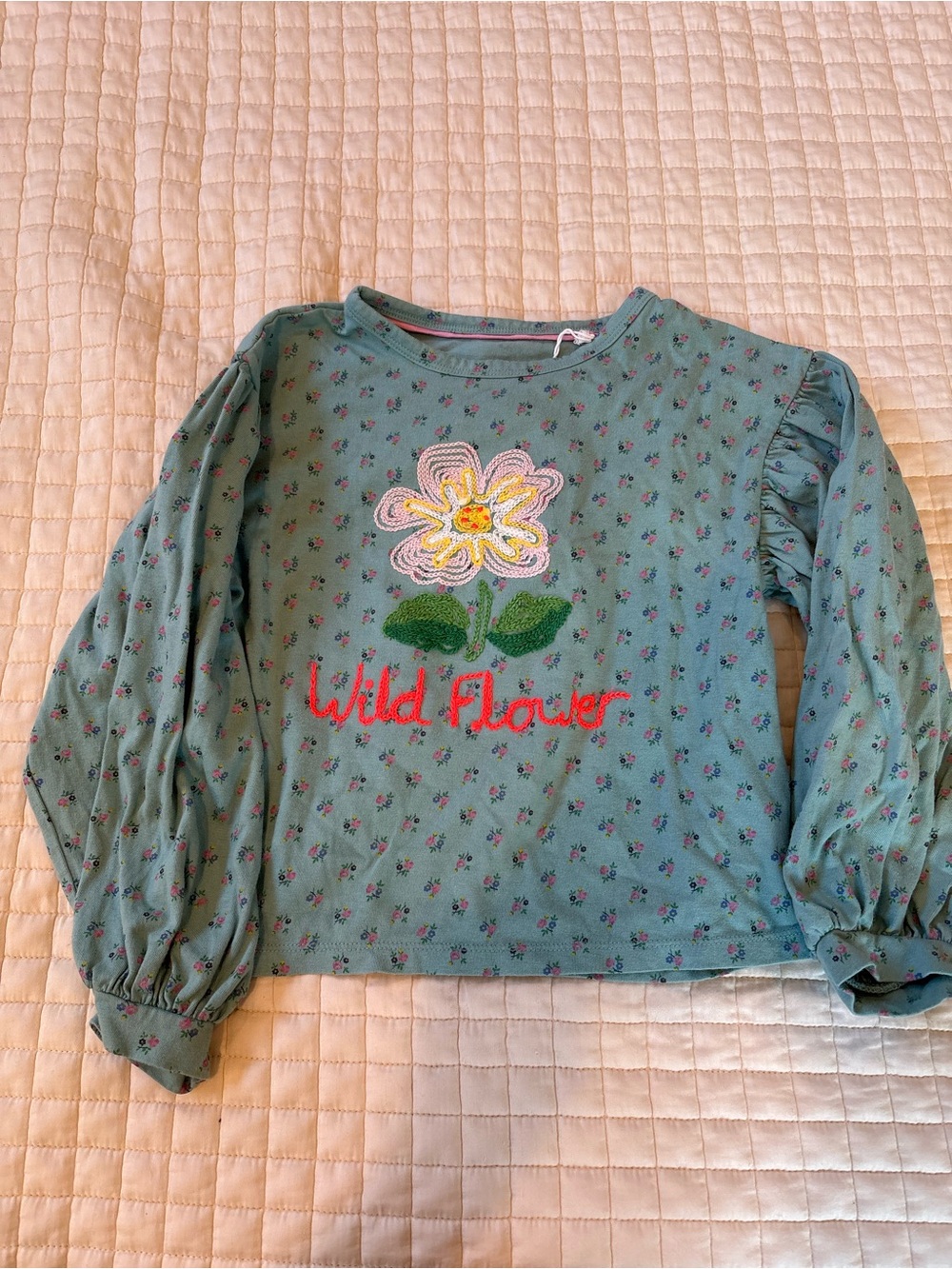 Mini Boden Sage Green Long-Sleeve Top with Floral Applique